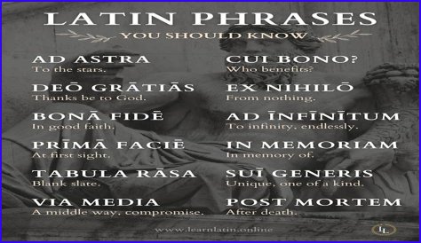 A Profile Of A Latin Beauty